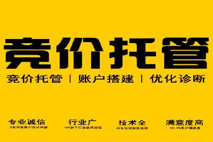 SEO与SEM案例分析：提升网站排名策略